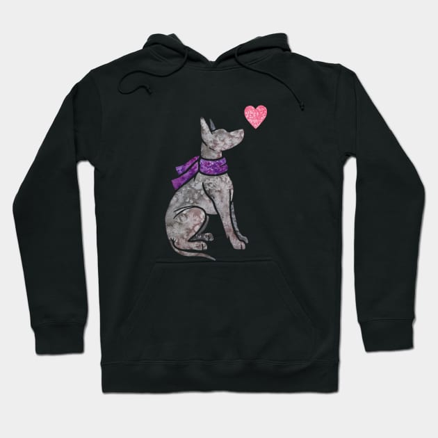 Xoloitzcuintle (Mexican Hairless Dog) Hoodie by animalartbyjess